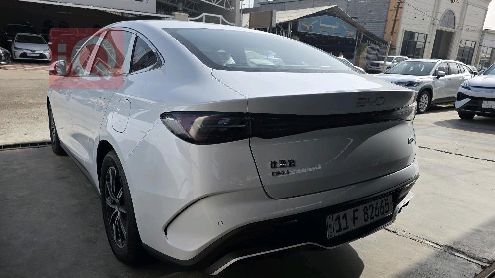 بي واي دي سيل 06 DM-i